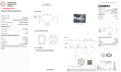 Custom Ring for Rocky