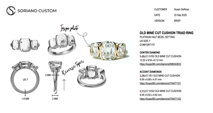 Custom Setting for Susan